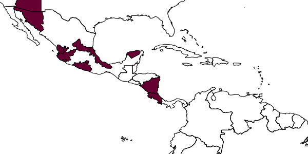 map of Atomacera ebena     Smith, 1969